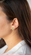 Variegated Monstera Albo Earrings
