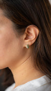 Variegated Monstera Albo Earrings