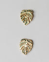Variegated Monstera Albo Earrings