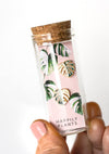 Variegated Monstera Albo Earrings