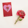 Red & Pink Rose Pin