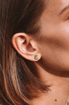 Palm Leaf Stud Earrings - 18k Gold Plated