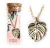 Variegated Monstera Albo Necklace