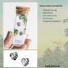 Monstera Deliciosa Stud Earrings