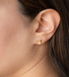 Monstera Deliciosa Stud Earrings