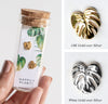 Monstera Deliciosa Stud Earrings