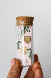 Variegated Monstera Albo Earrings