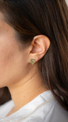Variegated Monstera Albo Earrings