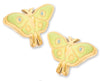 Luna Moth Earring – 18K Gold Plated