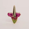 Corpse Flower Pin