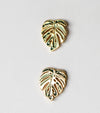 Variegated Monstera Albo Earrings