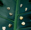 Palm Leaf Stud Earrings - 18k Gold Plated