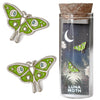 Luna Moth Earrings - Sterling Silver