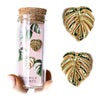 Variegated Monstera Albo Earrings