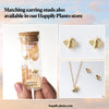 Queen Honey Bee Necklace Gift Set