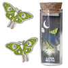 Luna Moth Earrings - Sterling Silver